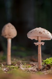 《图压无界》第一季封面，主角站在巨型数字屏幕前，背景是流动的数据光流